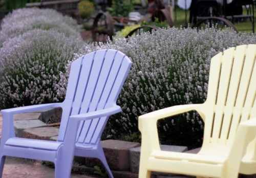 Colorful Andirondack chairs offer place to rest