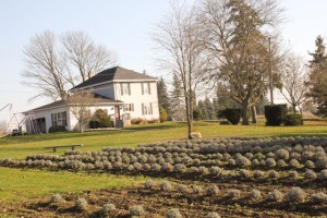 The Lavender Farm owned by Bob & Barb Gilles